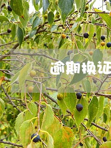 逾期换证多长时间 逾期换证多长时间