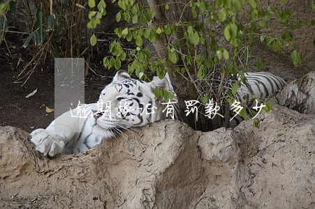 逾期换证有罚款多少 逾期换证有罚款多少