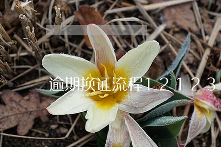 逾期换证流程12123 逾期换证流程12123