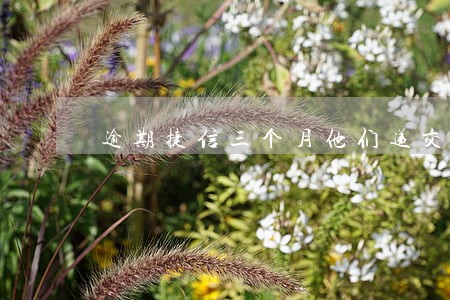 逾期捷信三个月他们递交派出所 逾期捷信三个月他们递交派出所