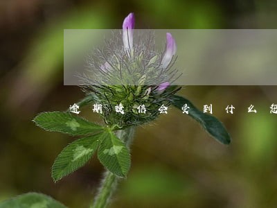 逾期捷信会受到什么惩罚 逾期捷信会受到什么惩罚
