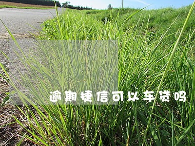 逾期捷信可以车贷吗 逾期捷信可以车贷吗
