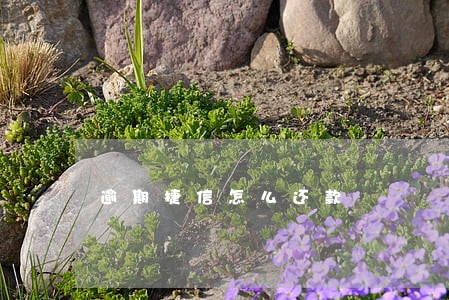 逾期捷信怎么还款 逾期捷信怎么还款