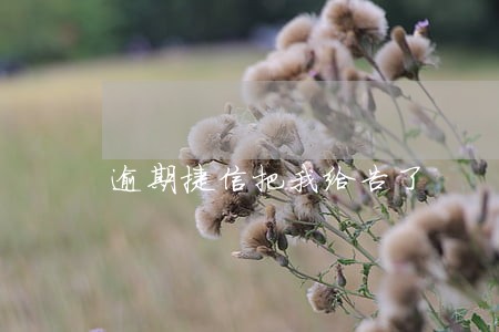 逾期捷信把我给告了 逾期捷信把我给告了