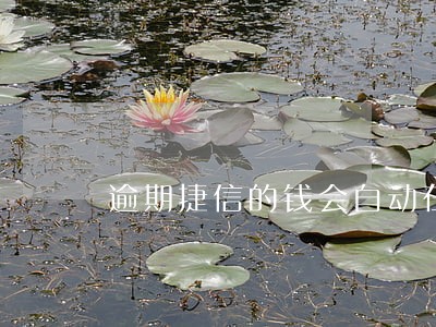 逾期捷信的钱会自动在卡里扣吗 逾期捷信的钱会自动在卡里扣吗