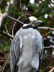 逾期排期通知短信是真的吗 逾期排期通知短信是真的吗