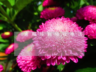 逾期接到催收电话 逾期接到催收电话