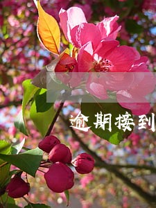 逾期接到催收电话怎么回应 逾期接到催收电话怎么回应
