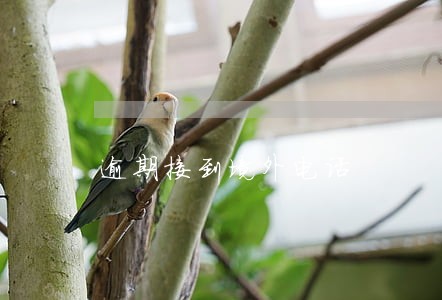 逾期接到境外电话 逾期接到境外电话