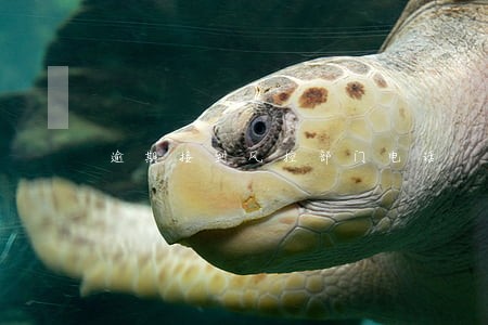 逾期接到风控部门电话 逾期接到风控部门电话
