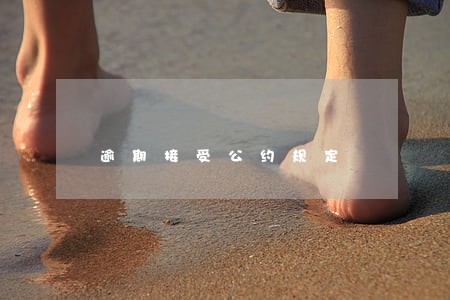 逾期接受公约规定 逾期接受公约规定