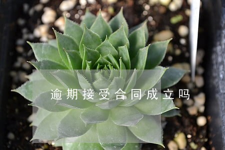 逾期接受合同成立吗 逾期接受合同成立吗