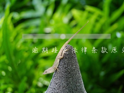 逾期接受法律条款原文解读 逾期接受法律条款原文解读