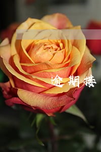 逾期接受的另外情况 逾期接受的另外情况