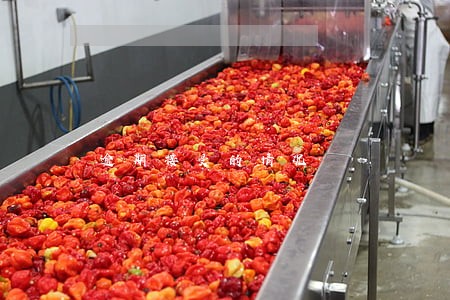 逾期接受的情况 逾期接受的情况