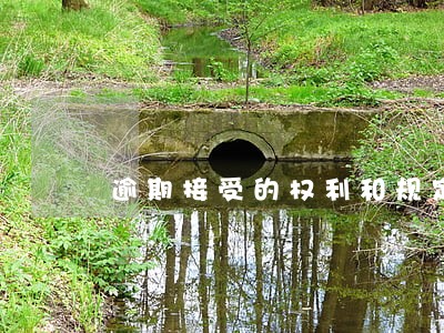 逾期接受的权利和规定 逾期接受的权利和规定