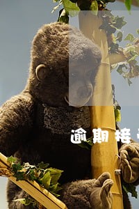 逾期接受货物的违约责任 逾期接受货物的违约责任