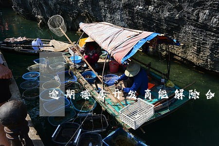 逾期接房开发商能解除合同吗 逾期接房开发商能解除合同吗