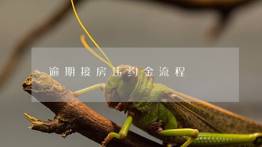 逾期接房违约金流程 逾期接房违约金流程
