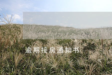逾期接房通知书 逾期接房通知书