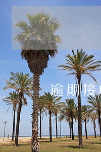 逾期接收到中国高铁发的短信 逾期接收到中国高铁发的短信