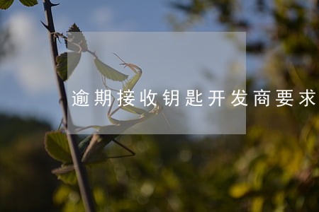 逾期接收钥匙开发商要求违约金 逾期接收钥匙开发商要求违约金