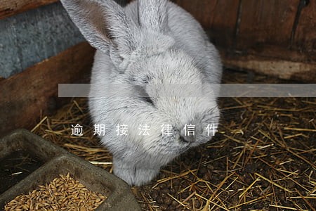 逾期接法律信件 逾期接法律信件