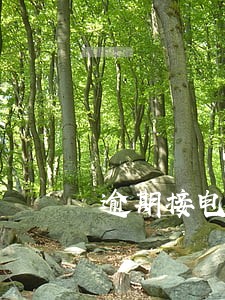 逾期接电话也上报征信吗 逾期接电话也上报征信吗