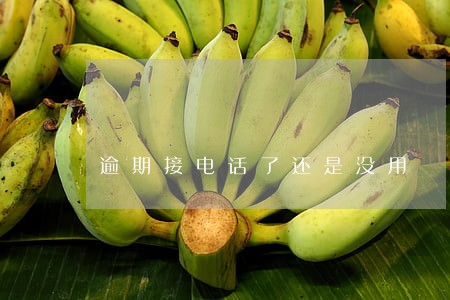 逾期接电话了还是没用 逾期接电话了还是没用