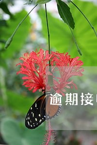 逾期接电话会爆通讯录吗 逾期接电话会爆通讯录吗