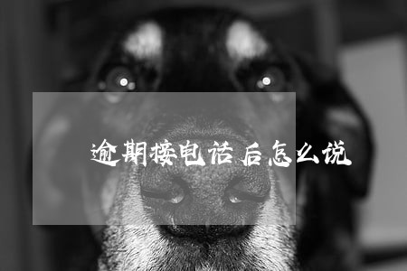 逾期接电话后怎么说 逾期接电话后怎么说