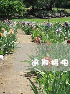 逾期接电话太多怎么办 逾期接电话太多怎么办