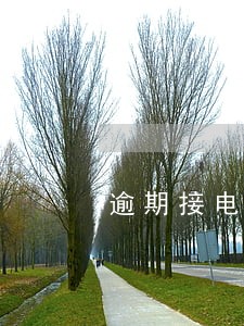 逾期接电话好还是不接电话好 逾期接电话好还是不接电话好