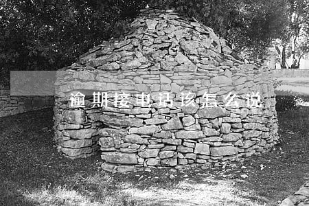 逾期接电话该怎么说 逾期接电话该怎么说