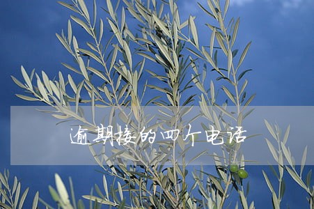 逾期接的四个电话 逾期接的四个电话