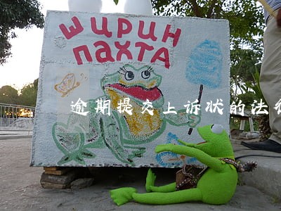 逾期提交上诉状的法律后果 逾期提交上诉状的法律后果