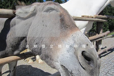 逾期提交债权申报证据 逾期提交债权申报证据
