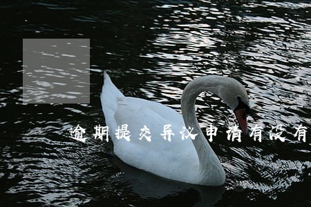 逾期提交异议申请有没有用 逾期提交异议申请有没有用