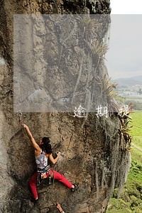 逾期提交情况说明 逾期提交情况说明