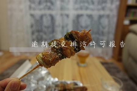 逾期提交排污许可报告 逾期提交排污许可报告