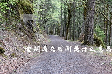 逾期提交时间是什么意思 逾期提交时间是什么意思