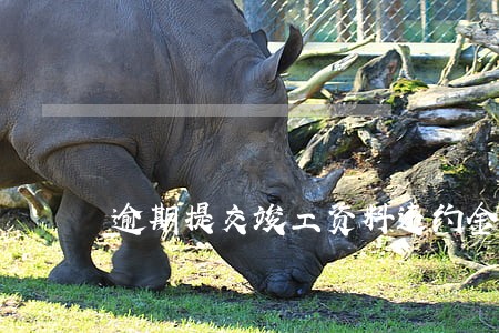 逾期提交竣工资料违约金抗辩 逾期提交竣工资料违约金抗辩