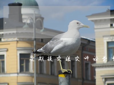逾期提交缓交诉讼费申请书 逾期提交缓交诉讼费申请书