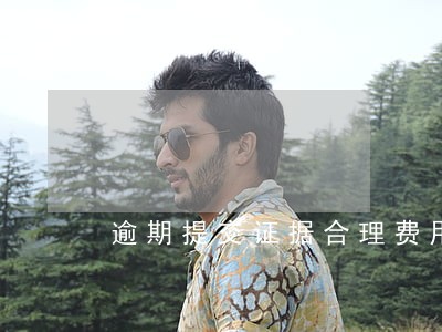 逾期提交证据合理费用申请书 逾期提交证据合理费用申请书