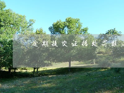 逾期提交证据处罚额度 逾期提交证据处罚额度