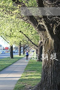 逾期提交证据对公民的罚款数额 逾期提交证据对公民的罚款数额