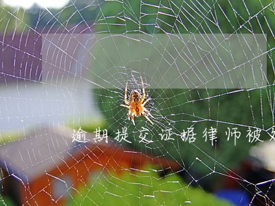 逾期提交证据律师被处罚 逾期提交证据律师被处罚