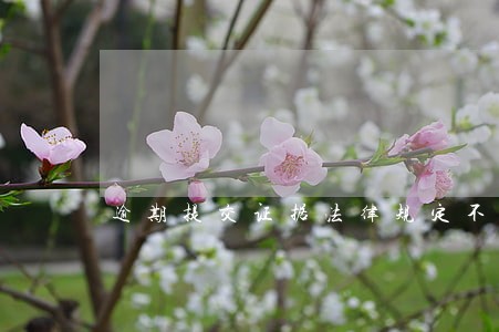 逾期提交证据法律规定不同意质证 逾期提交证据法律规定不同意质证