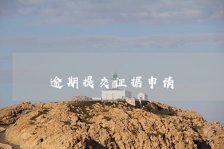 逾期提交证据申请