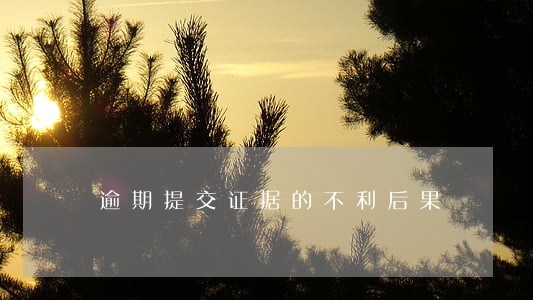 逾期提交证据的不利后果
